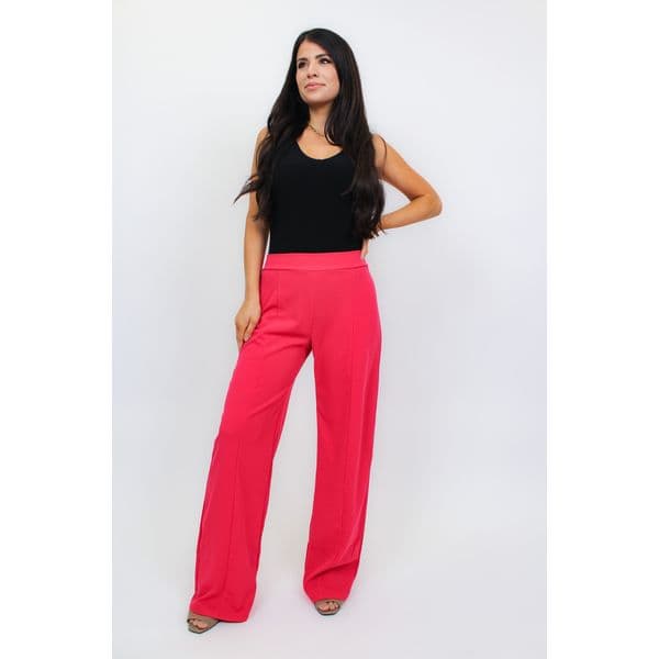BAR | Classy Wide Leg Pants